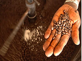 ¿Es el café beneficioso para combatir el cáncer de hígado?
