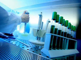 investigacion