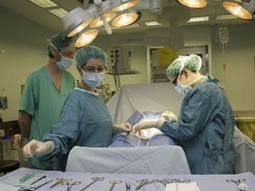 trasplante renal vivo