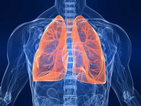 PULMONES_REHABILITADOS