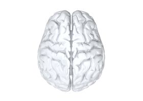 CEREBRO_RETOCADO