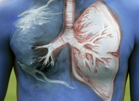 PULMONES_RETOCADO