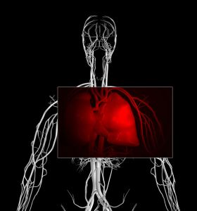 ARTERIAS_RETOCADO