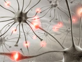EPILEPSIA_NEURONAS_RETOCADO