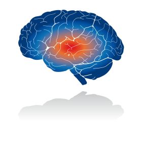 CEREBRO_RET