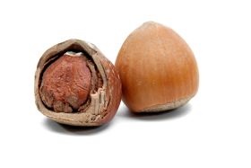 ALERGIA_ALIMENTARIA_RET