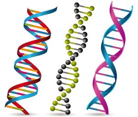 GENES RET