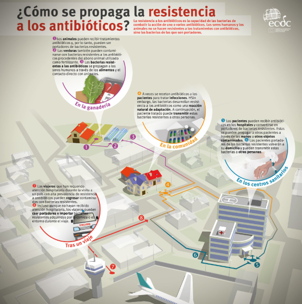 ¿Cómo se propaga la resistencia a los antibióticos?