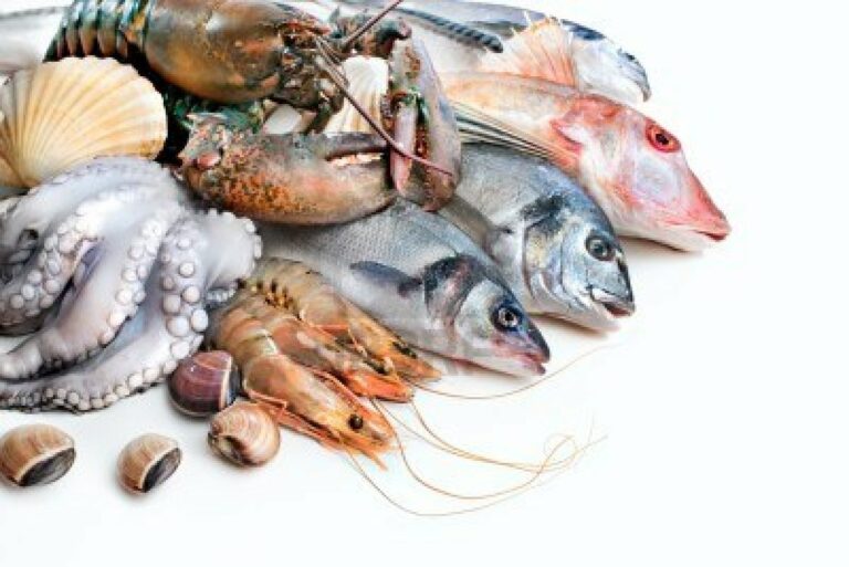 Evaluan el riesgo de la exposición a químicos al ingerir pescado y marisco