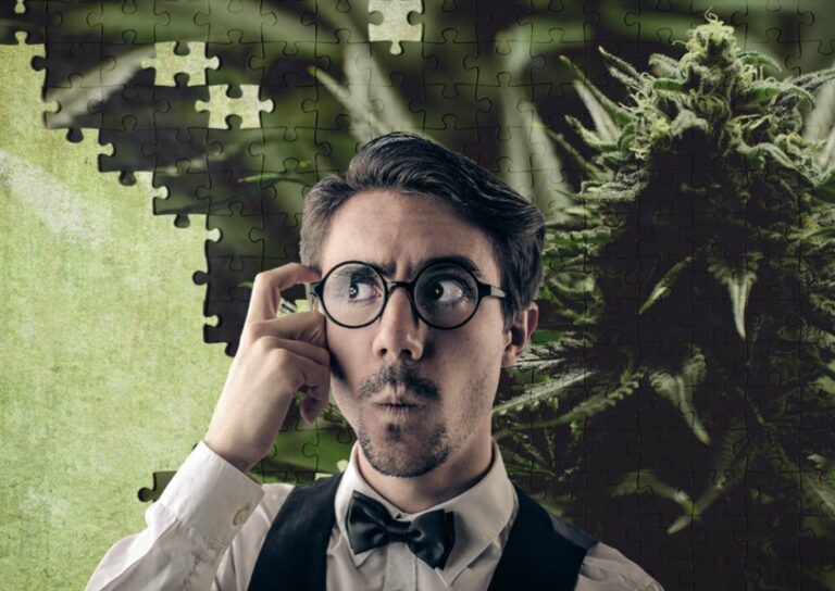 Por esto, la marihuana afecta al aprendizaje y a la memorización