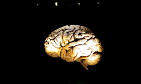 Investigan un nuevo marcador genético de la enfermedad de Parkinson