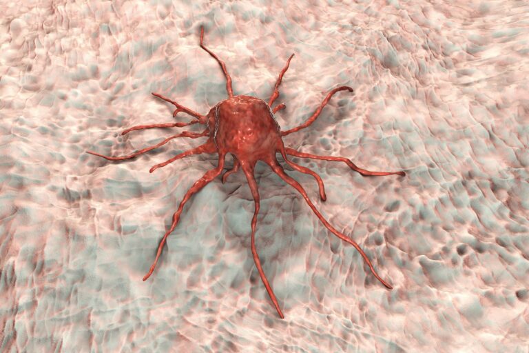 IBS de Granada ha desarrollado un nuevo método de aislamiento y un medio condicionado de cultivo de células madre cancerígenas