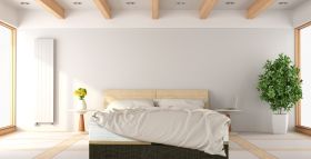 Dormir con plantas en el dormitorio ¿Es malo para la salud?