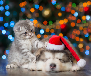 Dormir bien a pesar de los excesos de las Navidades