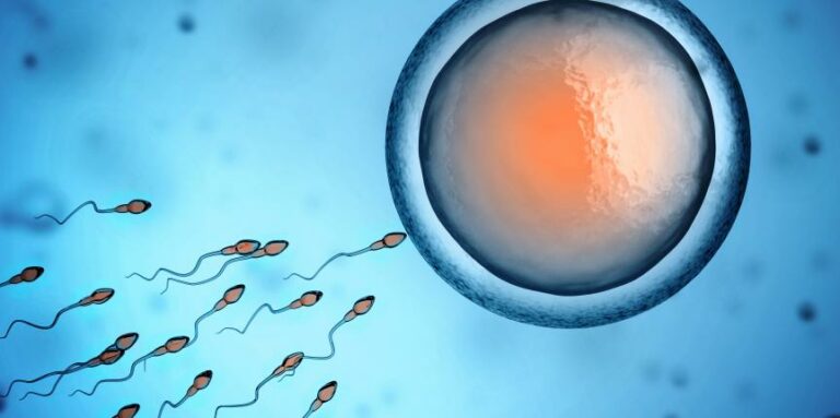 Suplementos dietéticos para mejorar la calidad del esperma