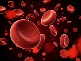 Las nuevas opciones terapéuticas revolucionan la calidad de vida de los pacientes con hemofilia
