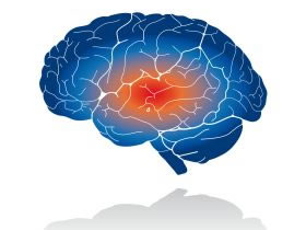 Nuevos equipos para la investigación de los tumores cerebrales