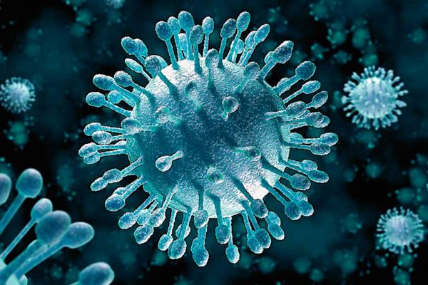Logran dar con un compuesto que frena la réplica del virus de la hepatitis C