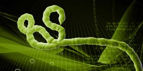 Hallan un mecanismo que replica virus como el del ébola