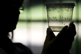 Las farmacias ofrecen información rigurosa y veraz sobre el virus Zika