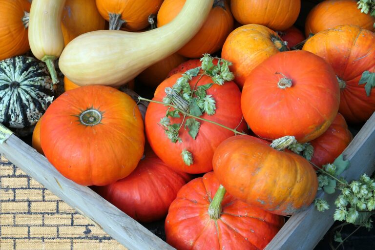 Beneficios de la calabaza, producto de esta época