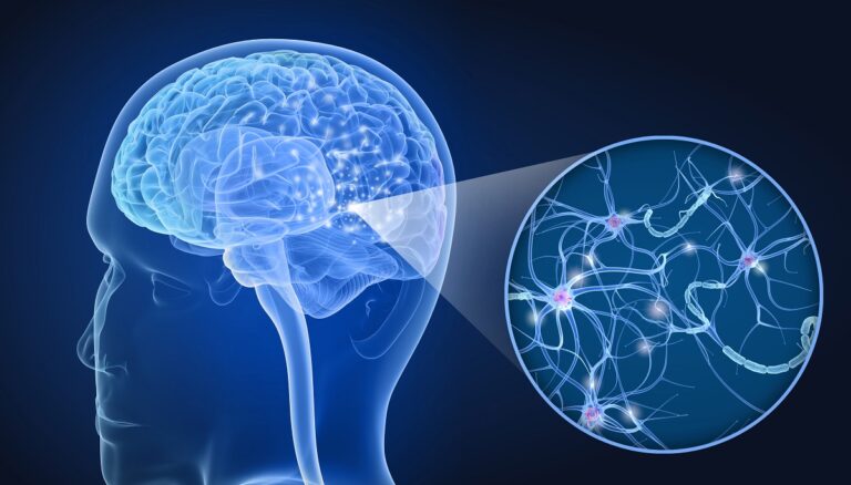 Qué es la neuroplasticidad y cómo mejorarla