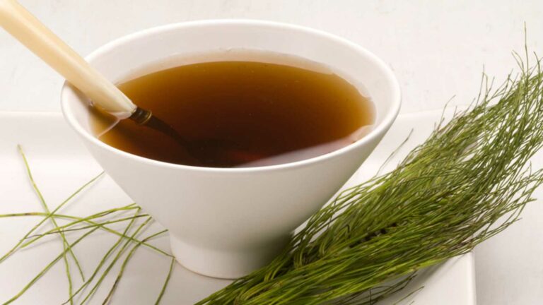 Infusiones de cola de caballo: ¿Para qué se utilizan y cuánto tiempo debemos tomarlas?