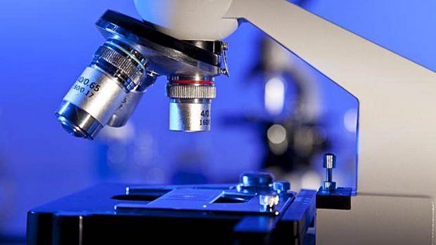 Primeros datos: esta molécula detiene al melanoma, al cáncer de pulmón o al cáncer renal en más de la mitad de los casos