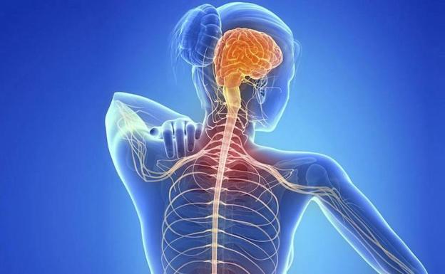 Vivir con esclerosis múltiple: tratamientos y consejos