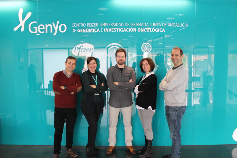 Nueva terapia, basada en nanopartículas inteligentes, para combatir el cáncer de mama