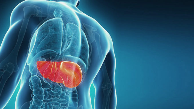 Hepatitis C: nuevas vacunas
