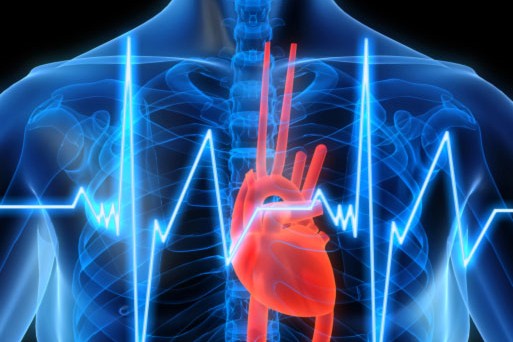 El electrocardiograma es una prueba barata que puede mejorar la prevención de la muerte súbita en jóvenes
