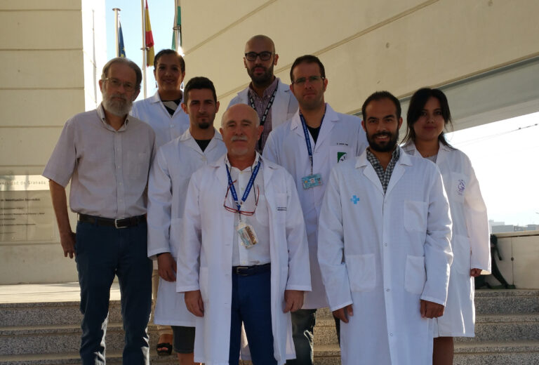 Científicos de la UGR describen por primera vez cuál es la dinámica que siguen las mitocondrias cuando practicamos ejercicio