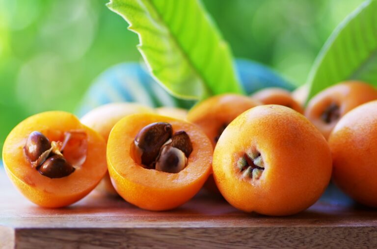 Propiedades y beneficios para la salud de los nísperos