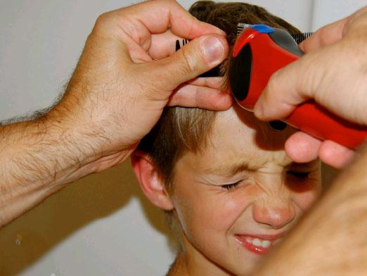 Con el cole, regresan los piojos: ¿Cómo poner remedio?