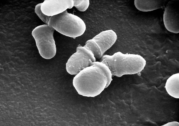 Pitiriasis versicolor: síntomas, causas y tratamiento
