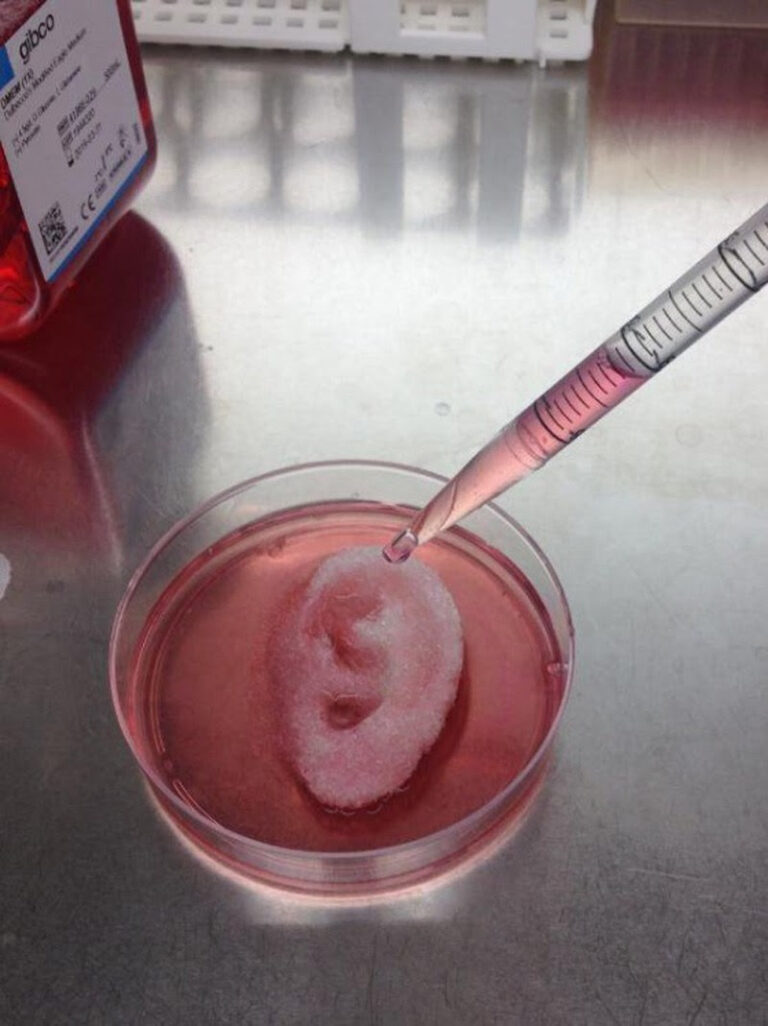 Desarrollan un nuevo método de bioimpresión 3D de tejidos que acelerará la implantación de esta tecnología en la práctica clínica