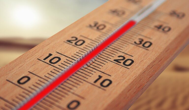 Cómo cuidar la salud frente al calor