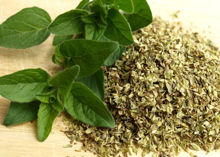 Cómo tomar aceite de orégano y sus principales propiedades