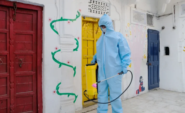 Fumigación en Málaga
