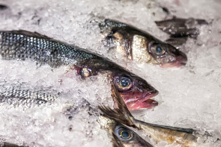 ¿Es obligatorio congelar el pescado en los restaurantes? Normas y seguridad alimentaria