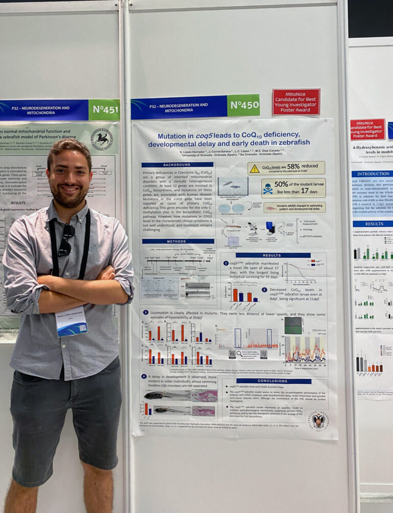 Investigadores de la UGR descubren un compuesto natural que podría frenar la enfermedad del hígado graso