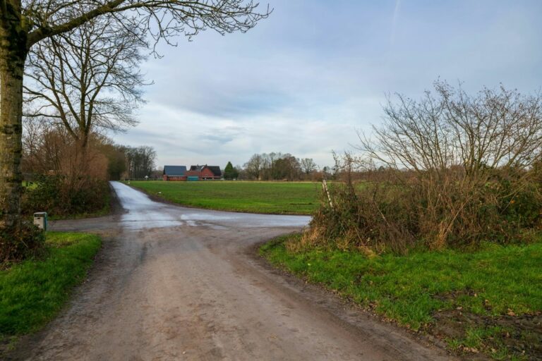 Retiro de silencio: una experiencia para desconectar y reconectar